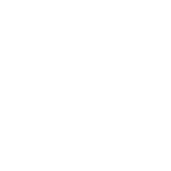 Maxlev logo